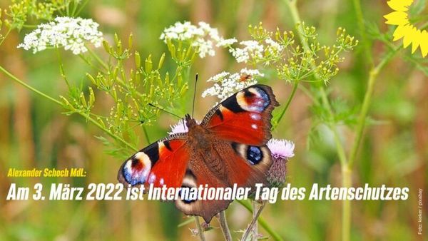 3. März 2022 ist Internationaler Tag des Artenschutzes