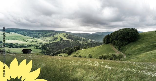 Maßgeschneiderte Förderungen für Frauen im Ländlichen Raum