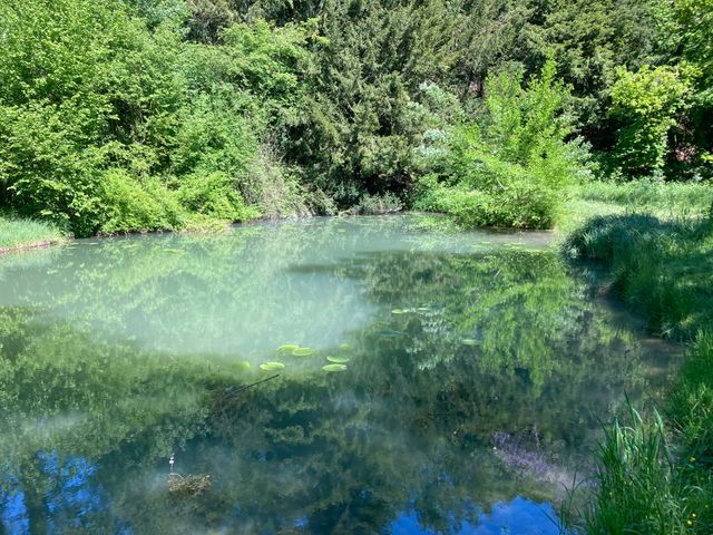 Heute, 5. Juni 2025 ist Weltumwelttag – Mikroplastik gefährdet Umwelt, Wasser und Mensch