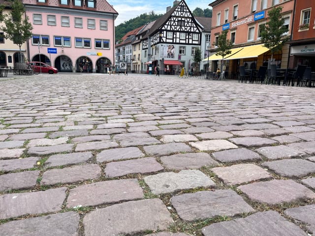 Wir brauchen zum gesundheitlichen Schutz der Bevölkerung Hitzeschutzmaßnahmen in Waldkirch! Kommunalpolitik steht in der Verantwortung zu handeln!